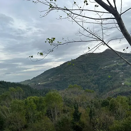 Kazli Bahce Ve Restoran